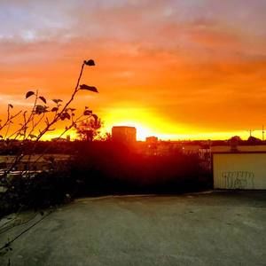 Meet your Posher, Lorlyn